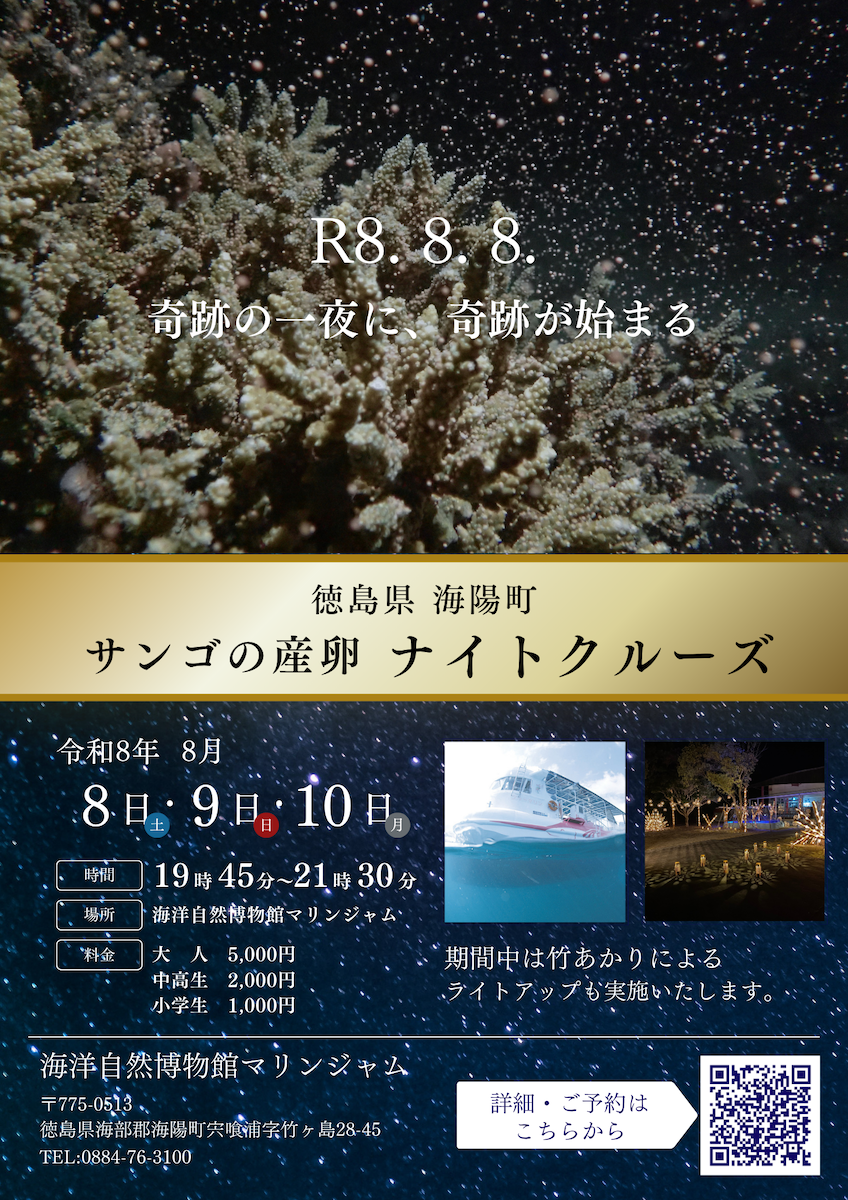 サンゴの産卵　ナイトクルーズ2026