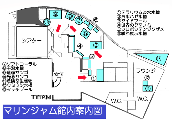館内の配置図