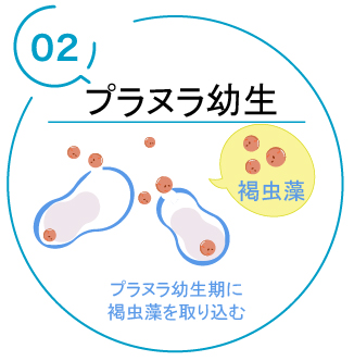 point1 point1