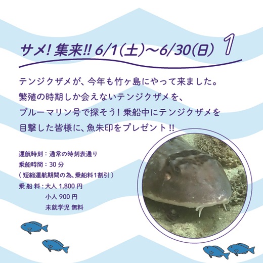 夏のイベント