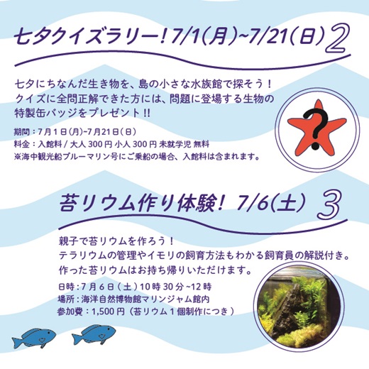夏のイベント