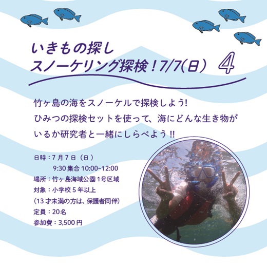 夏のイベント