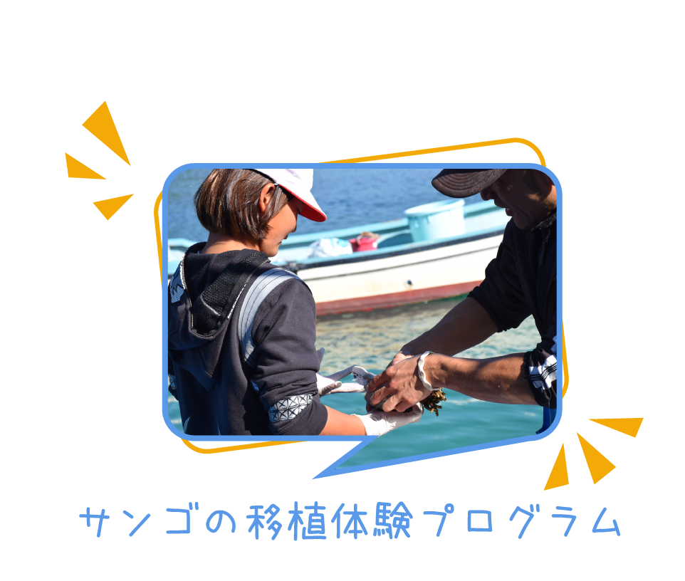 団体で参加