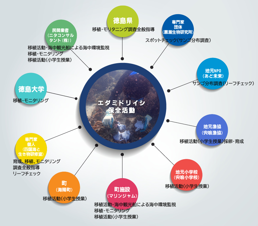 協力団体と主な活動 Image