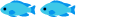 透明度良い